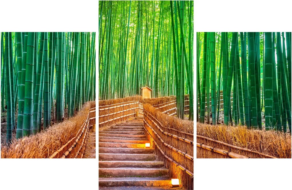 Obraz - Japonský bambusový les (90x60 cm)