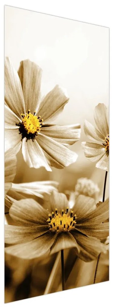 Fototapeta na dvere - kvet (95x205cm)