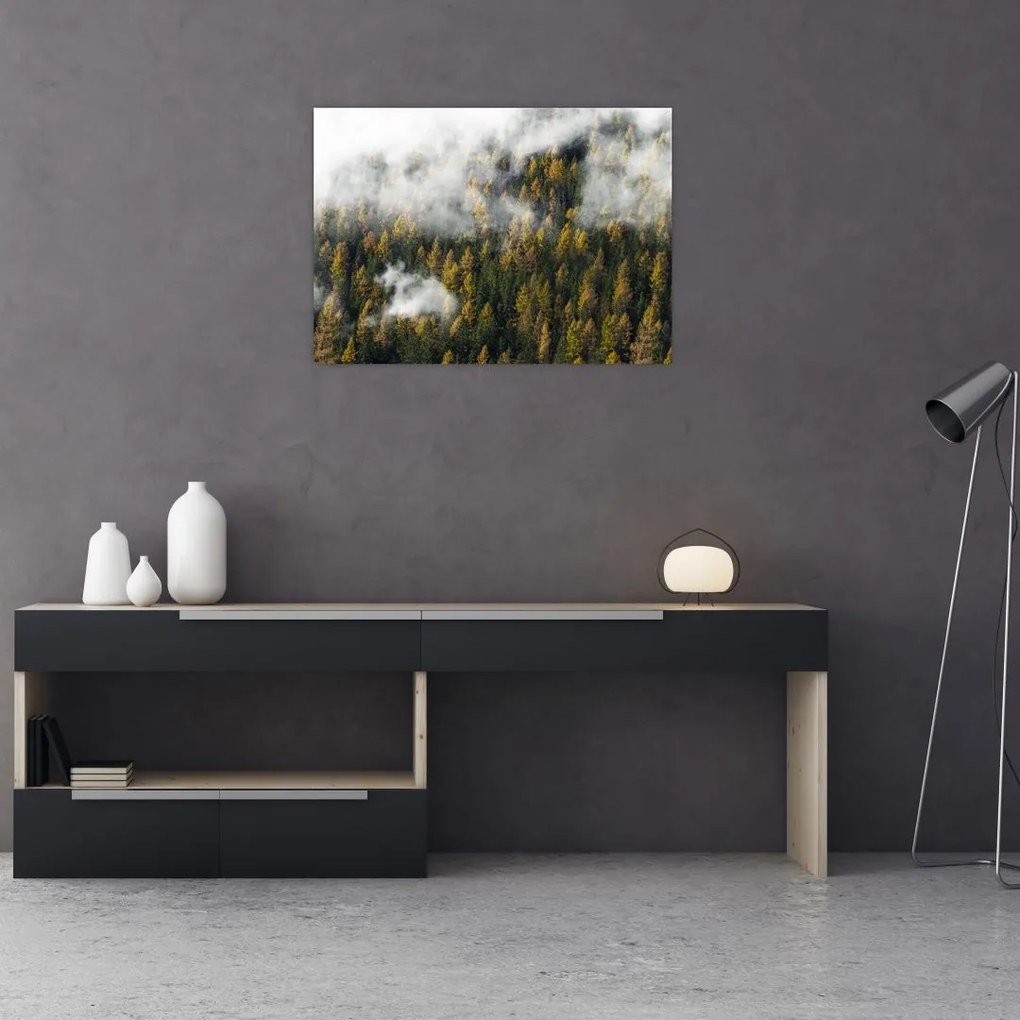 Sklenený obraz lesa v mrakoch (70x50 cm)