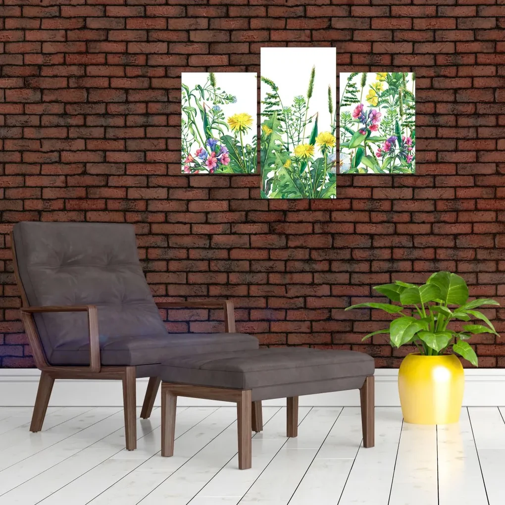 Obraz - Maľované lúčne kvety (90x60 cm)