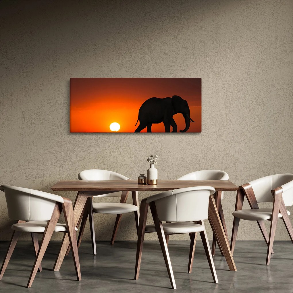 Obraz slona pri západe slnka (120x50 cm)