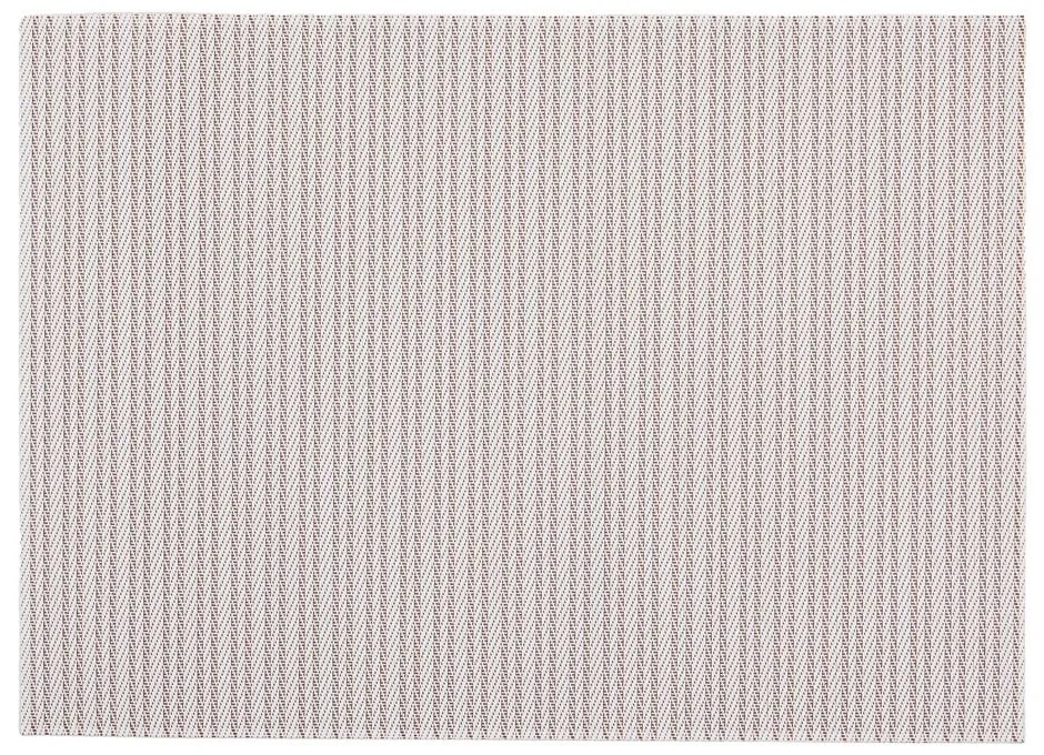 Plastové prestieranie 33x45 cm Fallon – ZicZac