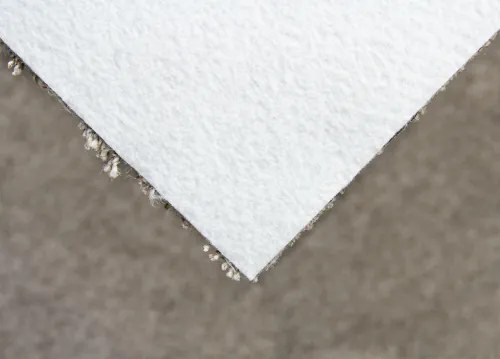 Koberce Breno Metrážny koberec DALESMAN 69, šíře role 400 cm, béžová, viacfarebná