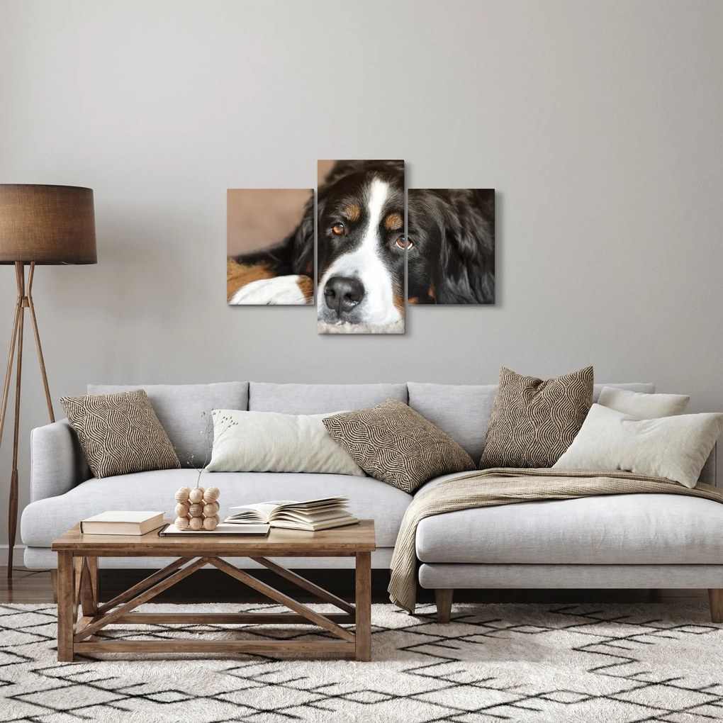 Obraz psa (90x60 cm)