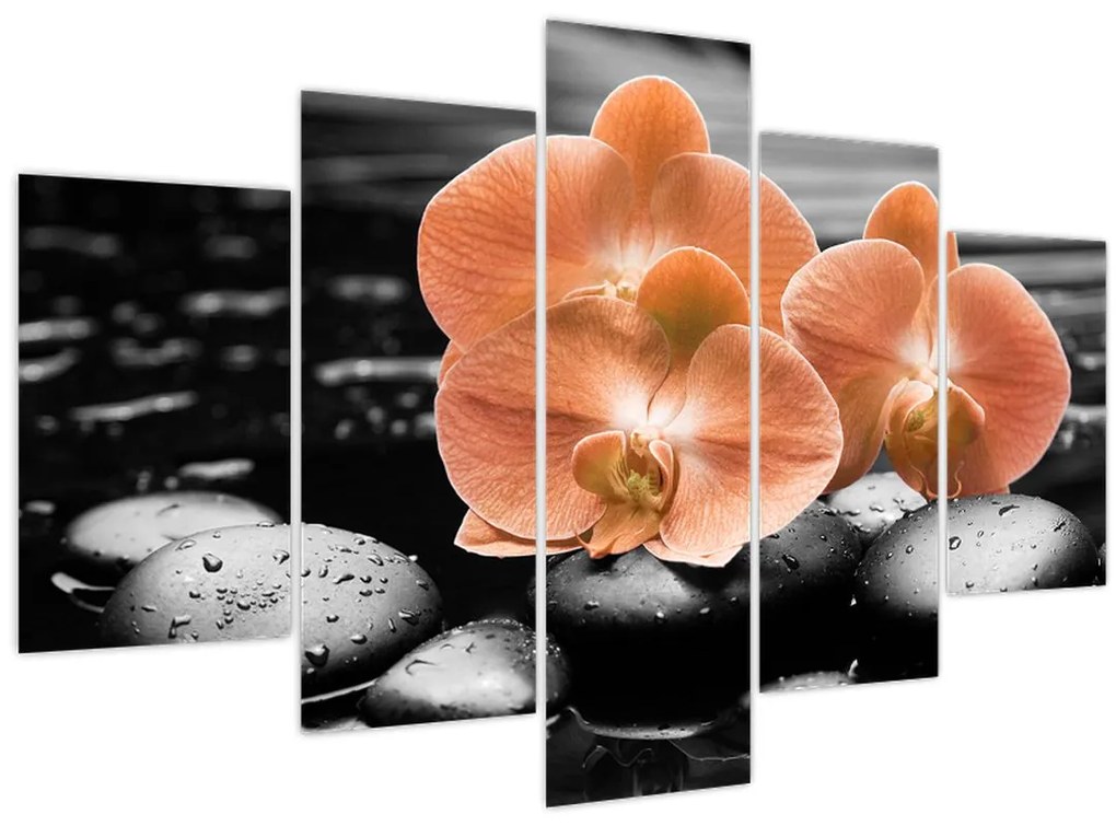 Obraz - Oranžové orchidey (150x105 cm)