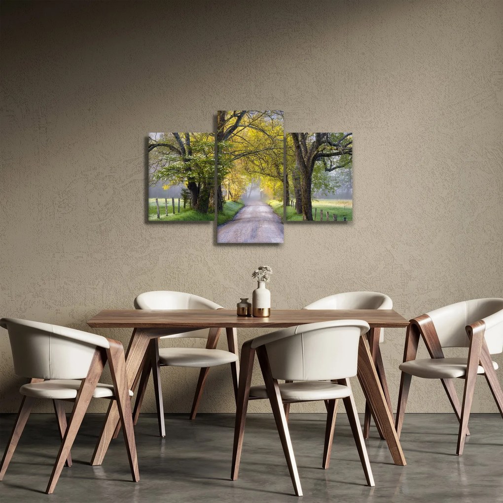 Obraz - Smoky Mountains, Gatlinburg, USA (90x60 cm)