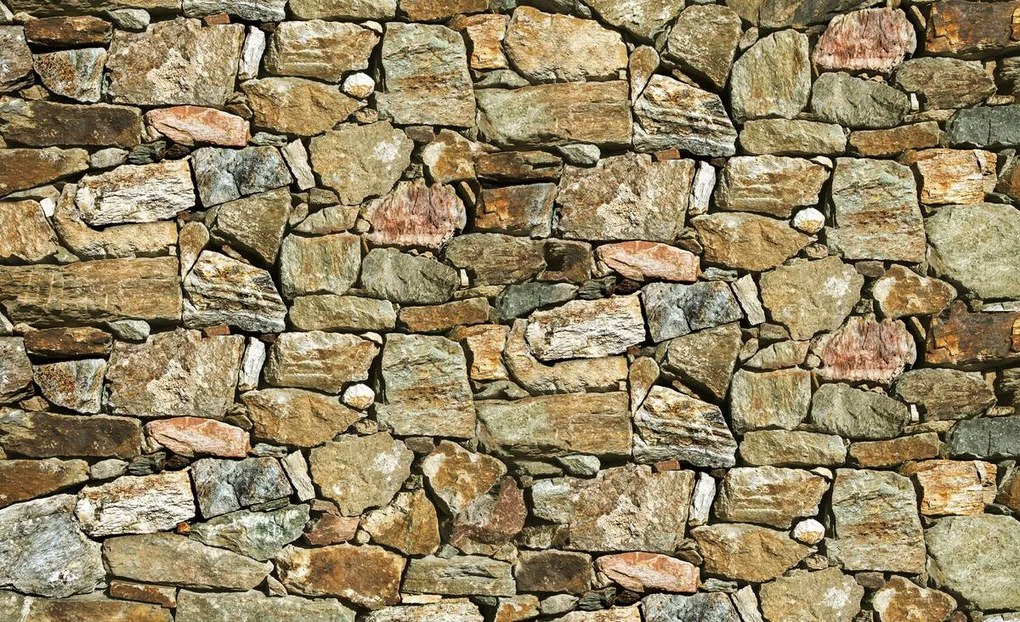 Fototapeta - Pieskovec (152,5x104 cm)