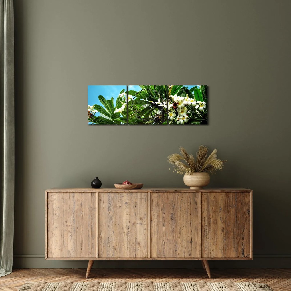 Obraz - Plumeria (s hodinami) (90x30 cm)
