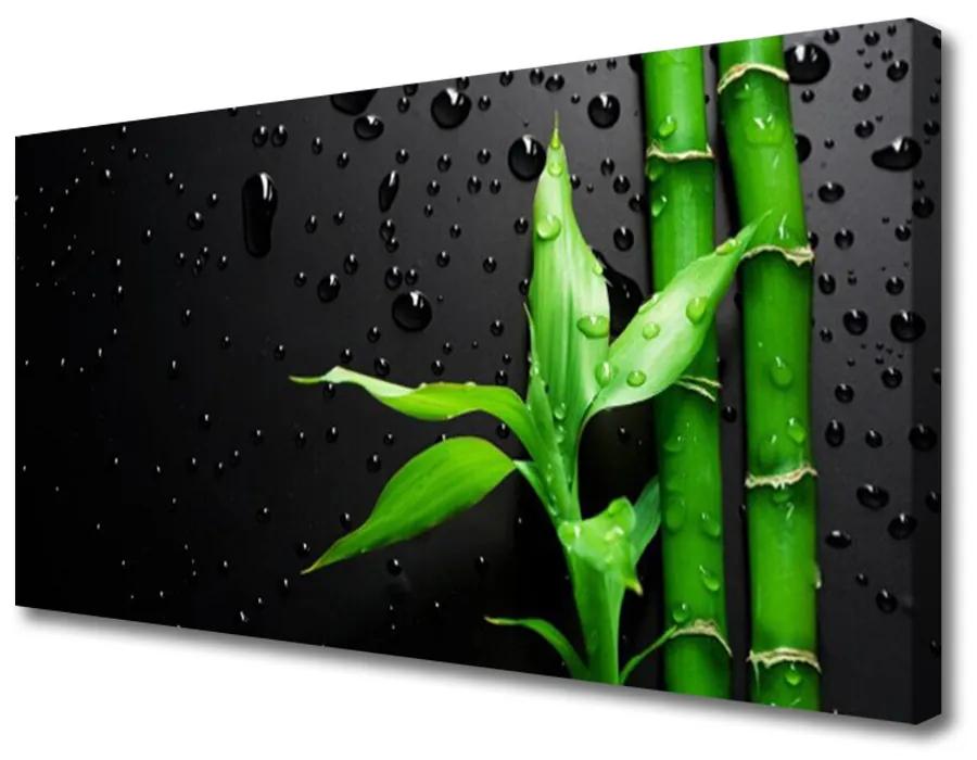 Obraz na plátne Bambus listy rastlina 100x50 cm
