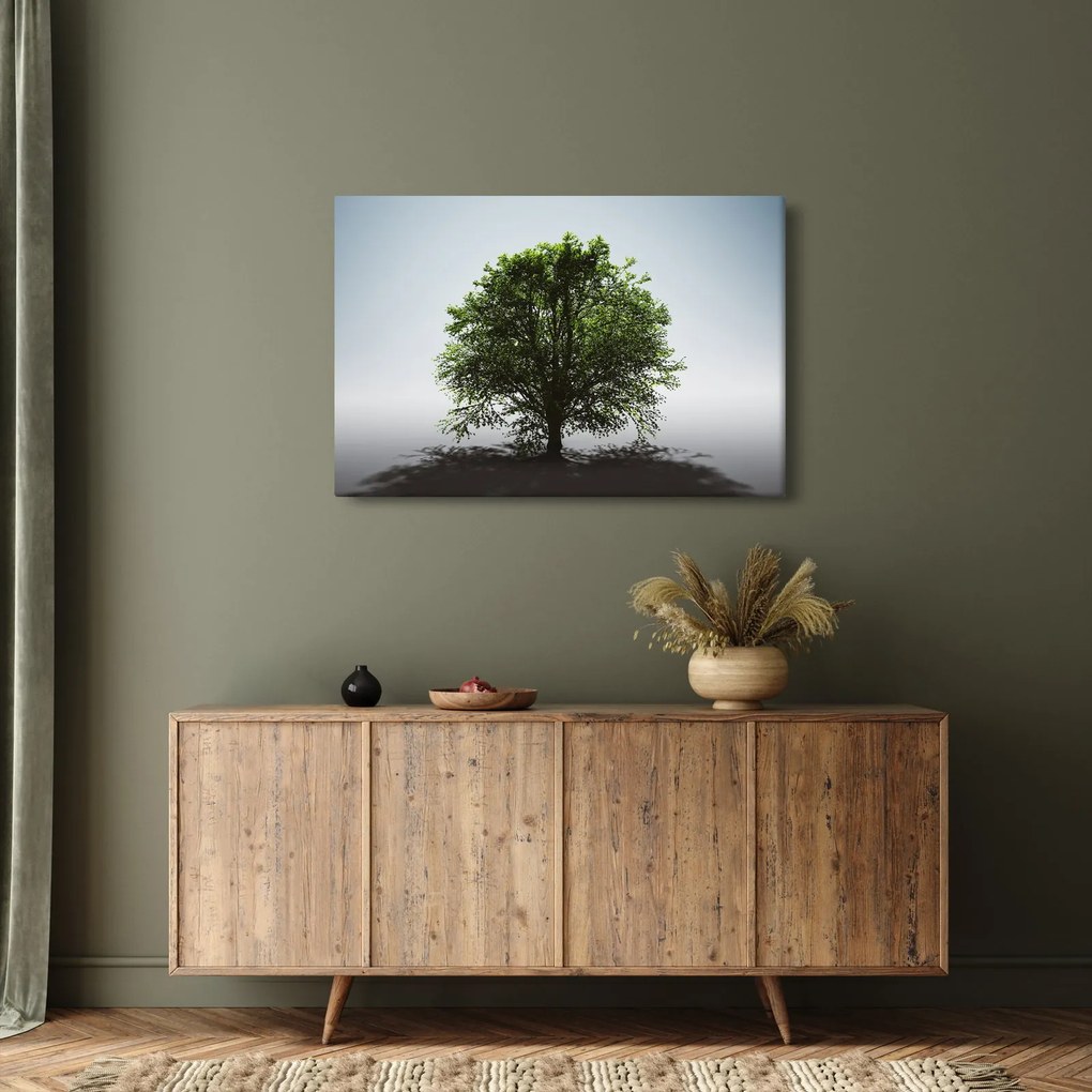 Obraz - Osamotený strom (90x60 cm)