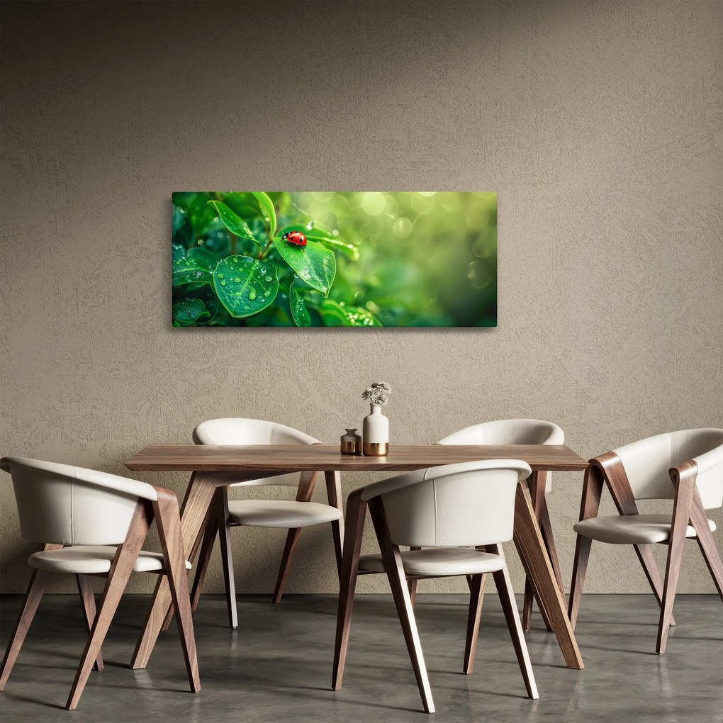 Obraz - Lienka (120x50 cm)