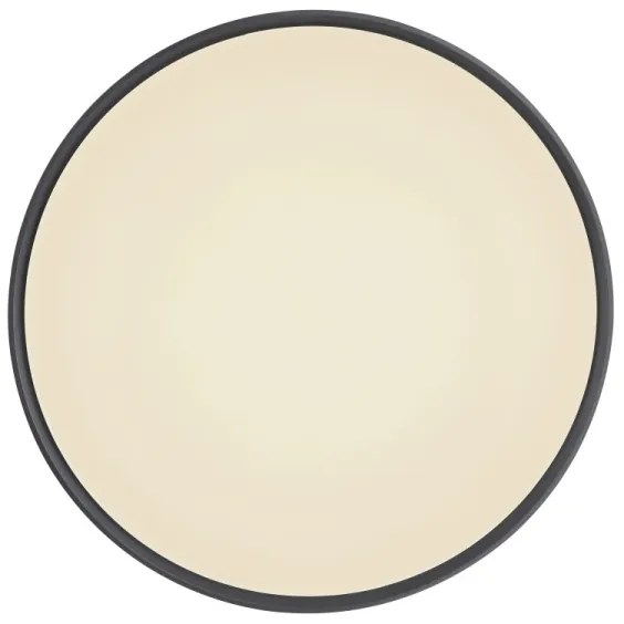 Globo 41587-24 - LED Stmievateľné stropné svietidlo SONNY LED/24W/230V + DO