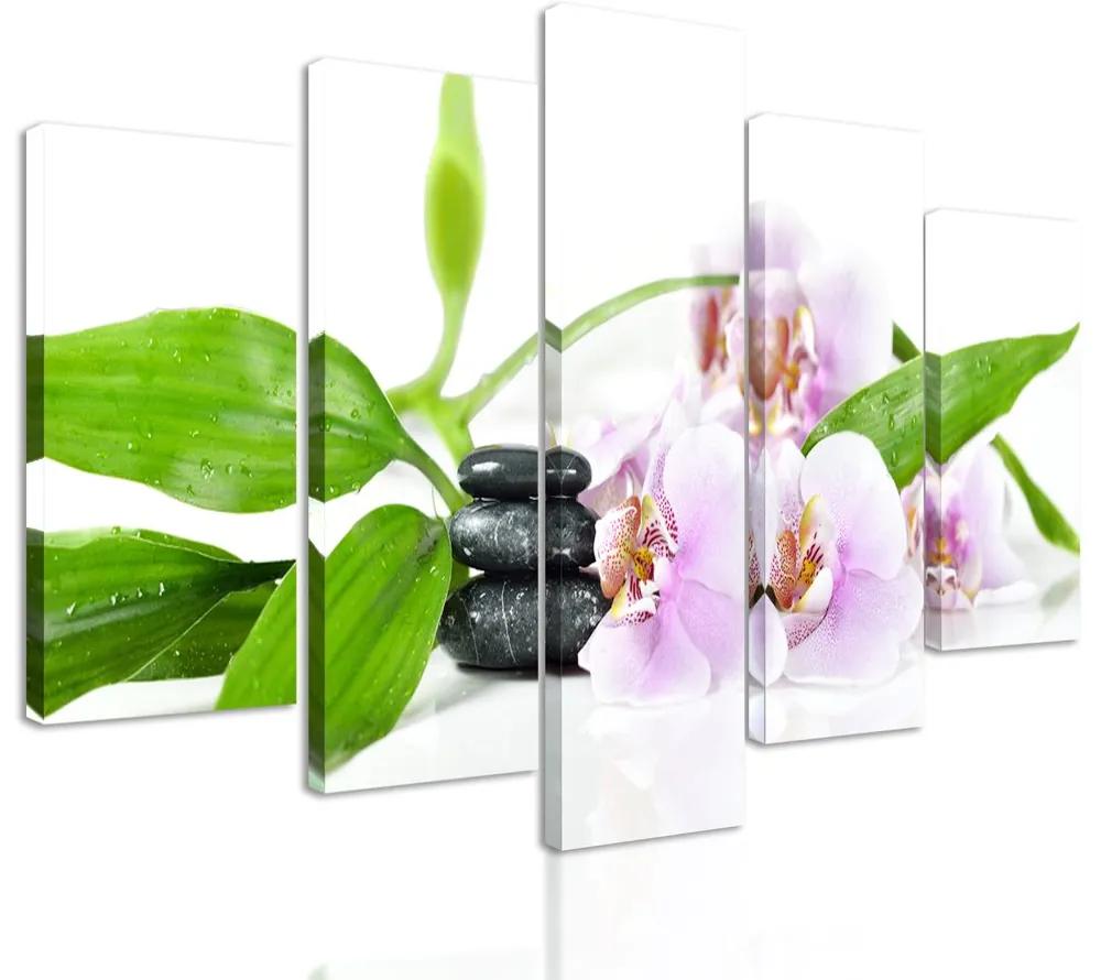 5-dielny obraz ukľudňujúce Zen zátišie s kvetmi orchidei