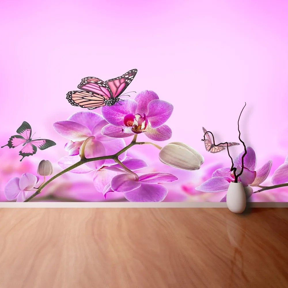 Fototapeta Vliesová Orchid motýľ 152x104 cm