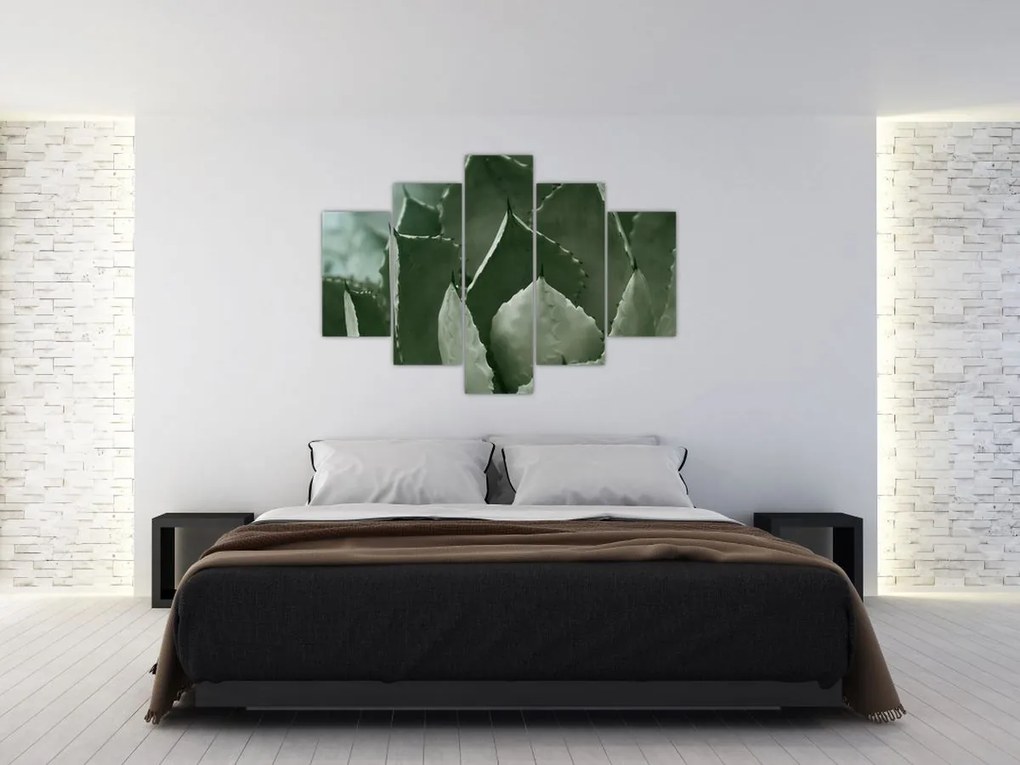 Obraz - Zelená agáve (150x105 cm)