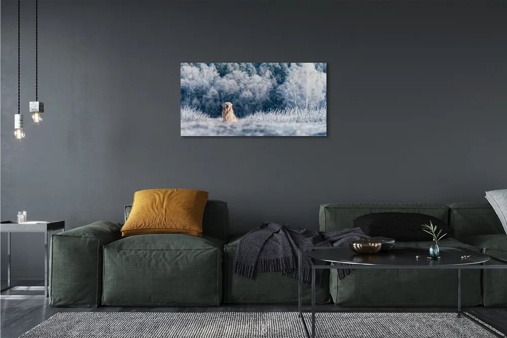 Obraz na plátne Zime salašnícky pes 100x50 cm