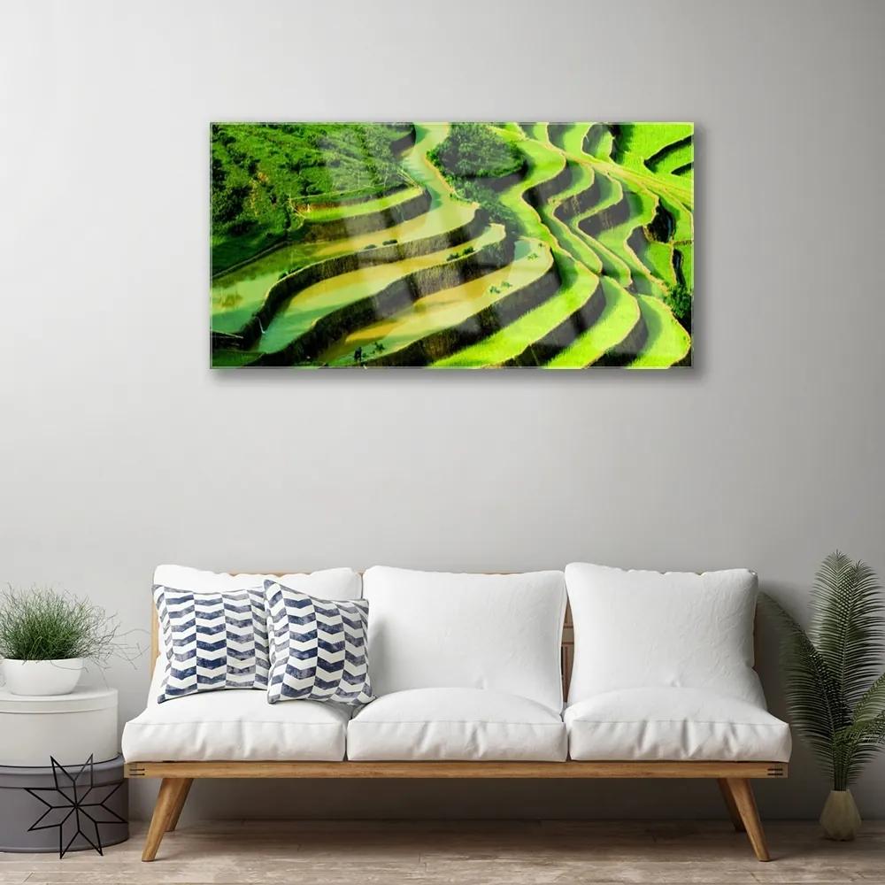 Skleneny obraz Pole ryža les umenie 120x60 cm