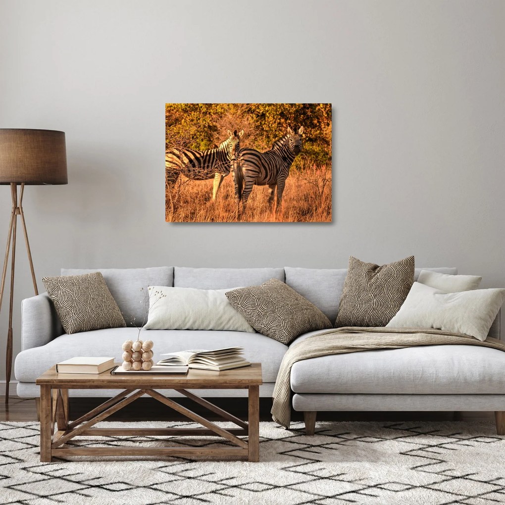 Sklenený obraz zebier (70x50 cm)
