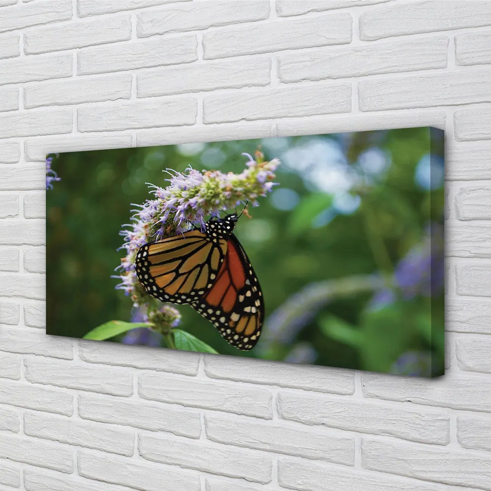 Obraz na plátne Kvet farebný motýľ 120x60 cm