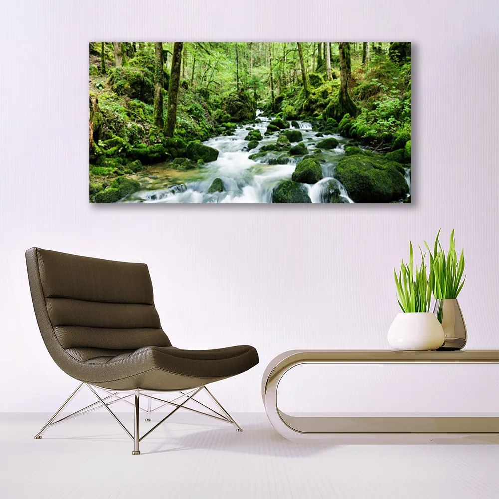 Obraz plexi Les potok vodopády rieka 120x60 cm