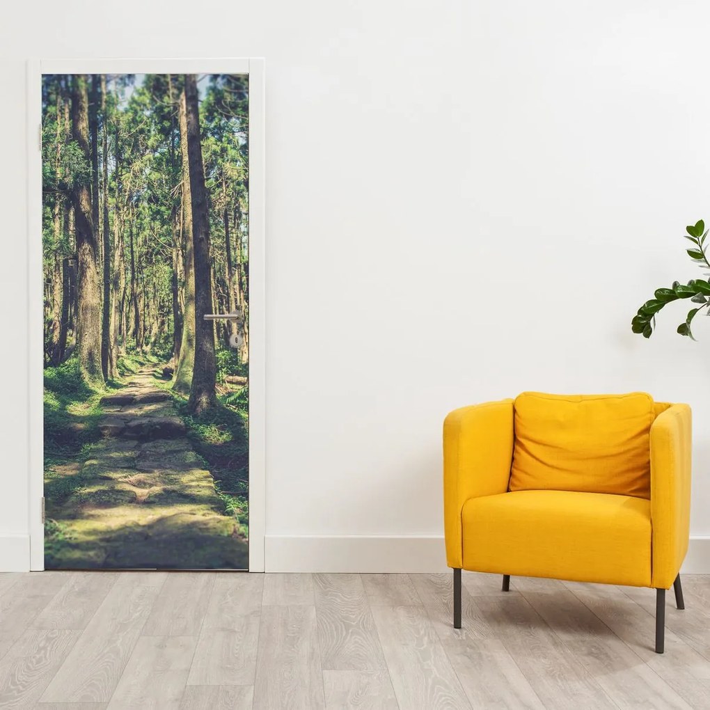 Fototapeta na dvere - Cesta medzi stromami (95x205cm)
