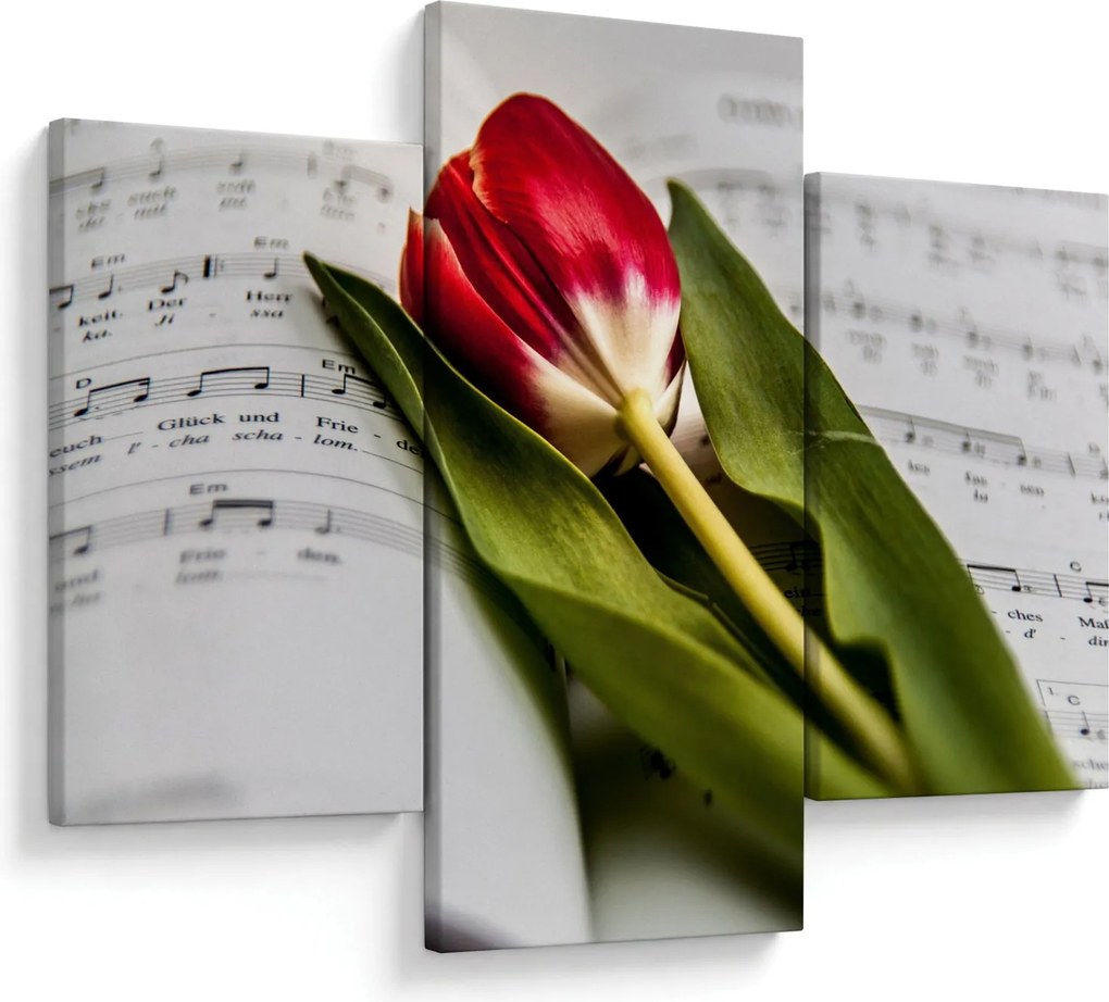 Obraz červeného tulipánu (90x60 cm)