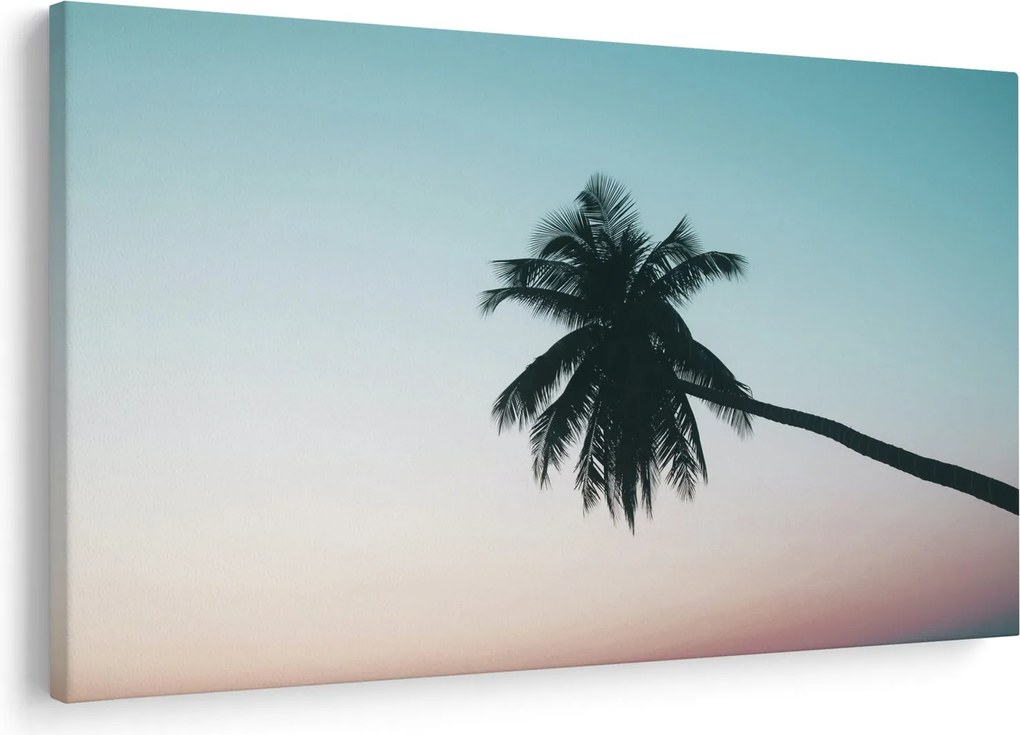 Obraz - Palma na Bali (90x60 cm)