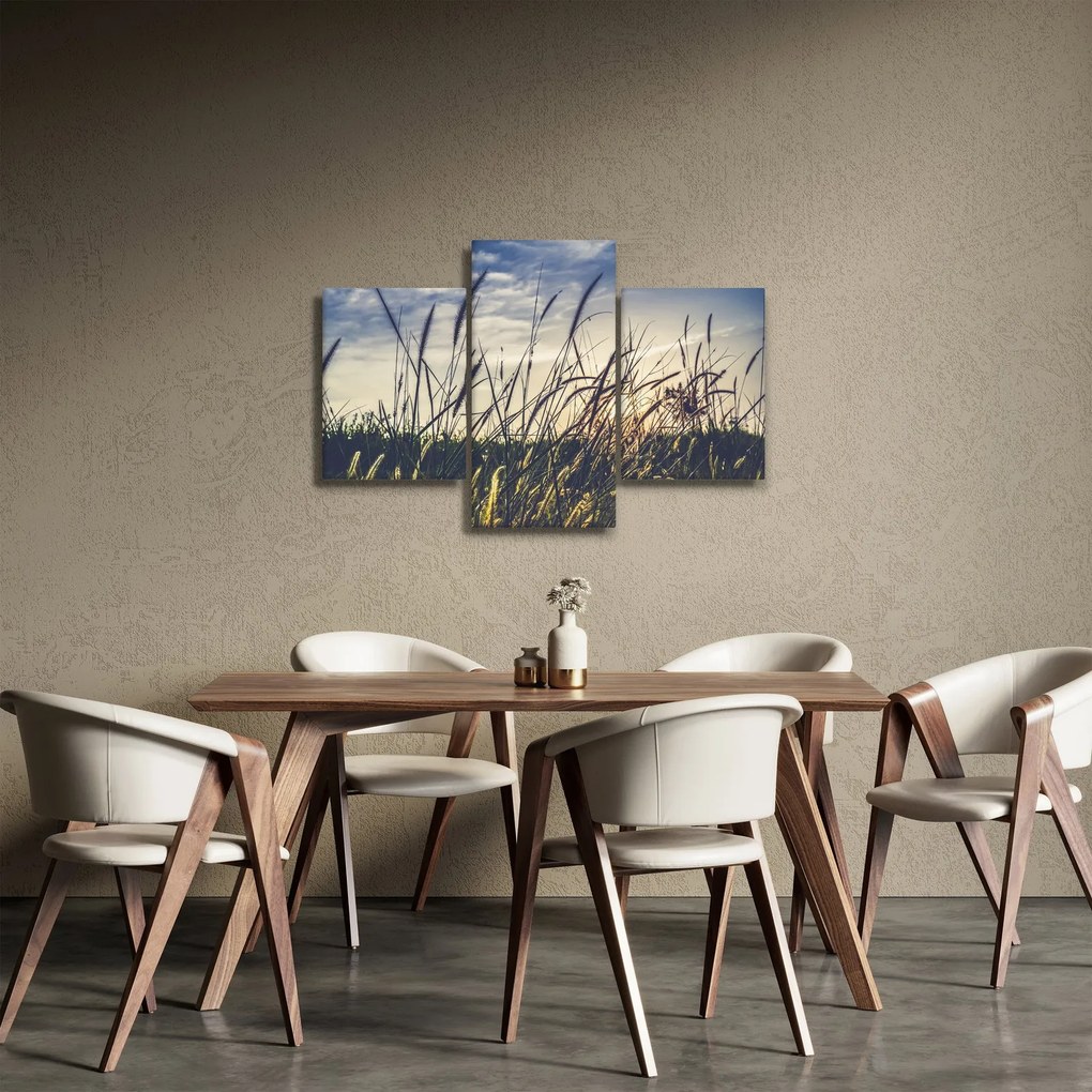 Obraz lúčnych kvetov (90x60 cm)