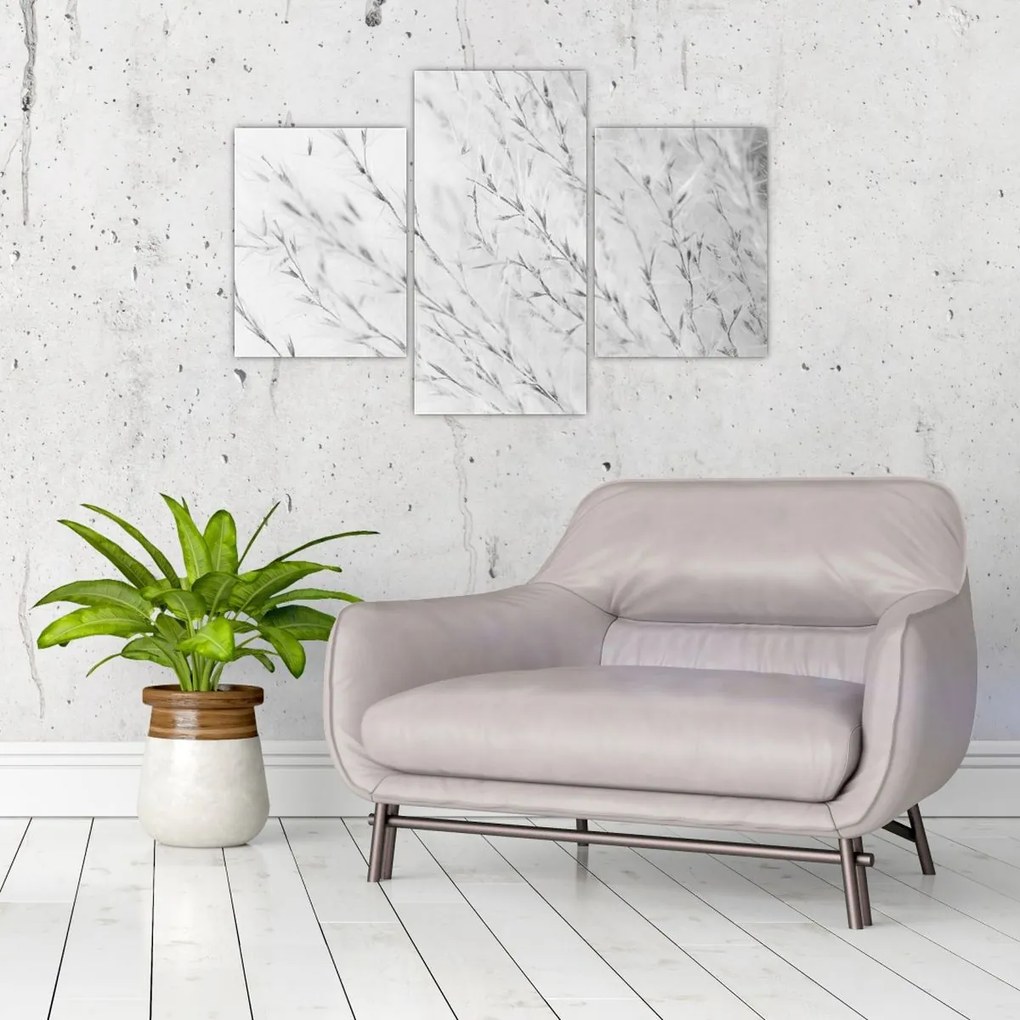 Obraz - Pampas grass N⁰2 (90x60 cm)