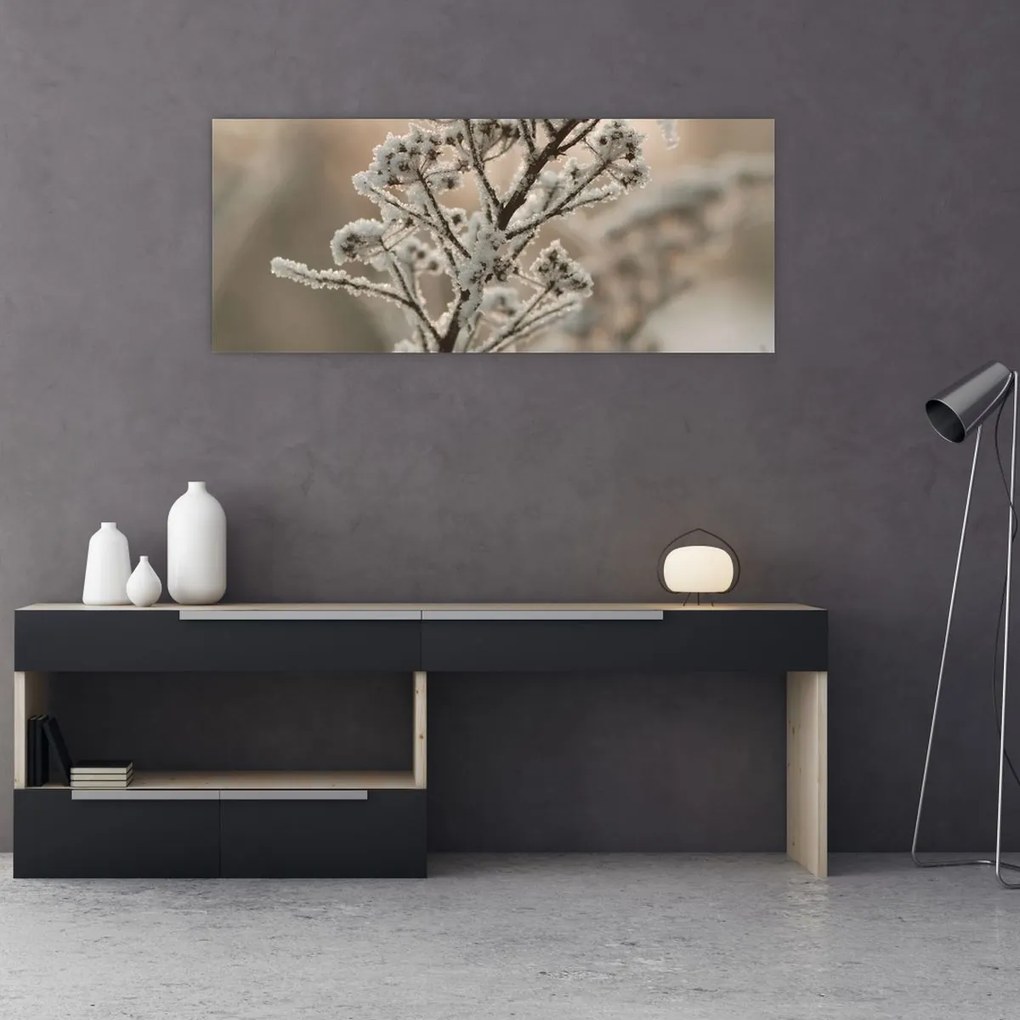 Obraz - Rastlina v mraze (120x50 cm)