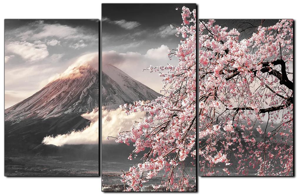 Obraz na plátne - Hora Fuji a čerešňové kvety na jar 1266QC (105x70 cm)