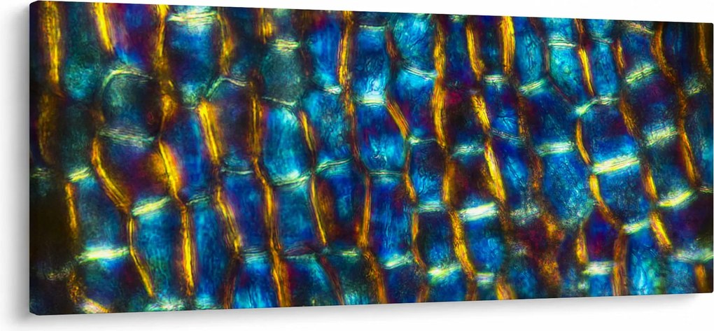 Obraz - Bunková stena (120x50 cm)