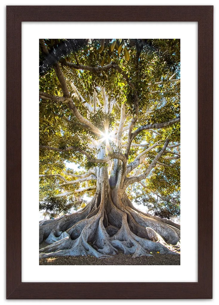 Gario Plagát Veľký exotický strom Farba rámu: Bez rámu, Rozmery: 40 x 60 cm