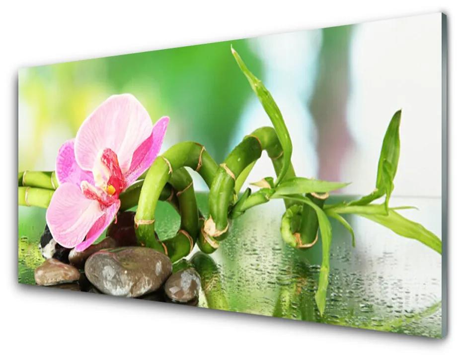 Obraz plexi Bambus stonka rastlina príroda 125x50 cm
