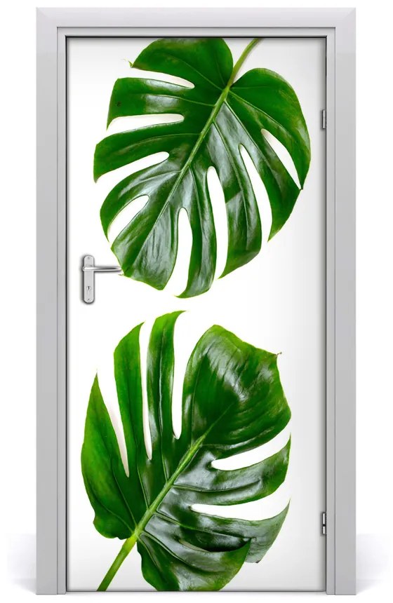 Fototapeta na dvere Monstera 85x205 cm