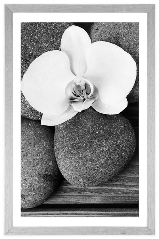 Plagát s paspartou wellness kamene a orchidea na drevenom pozadí v čiernobielom prevedení - 40x60 silver