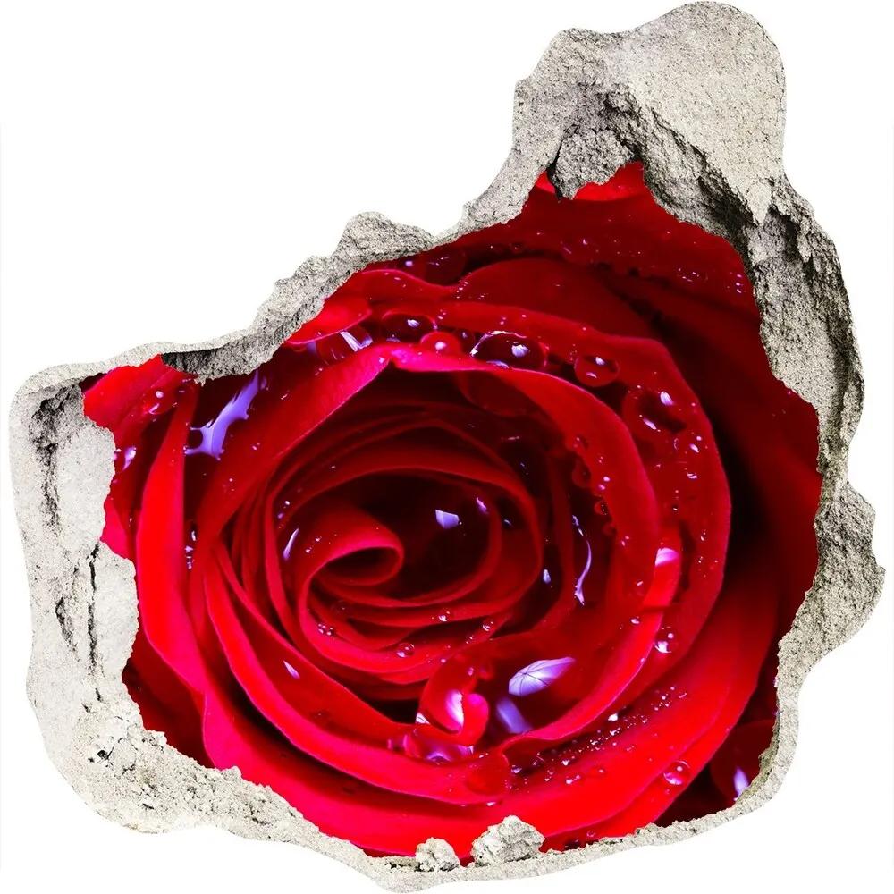 Samolepiaca nálepka na stenu Kvet ruží WallHole-75x75-piask-100979783