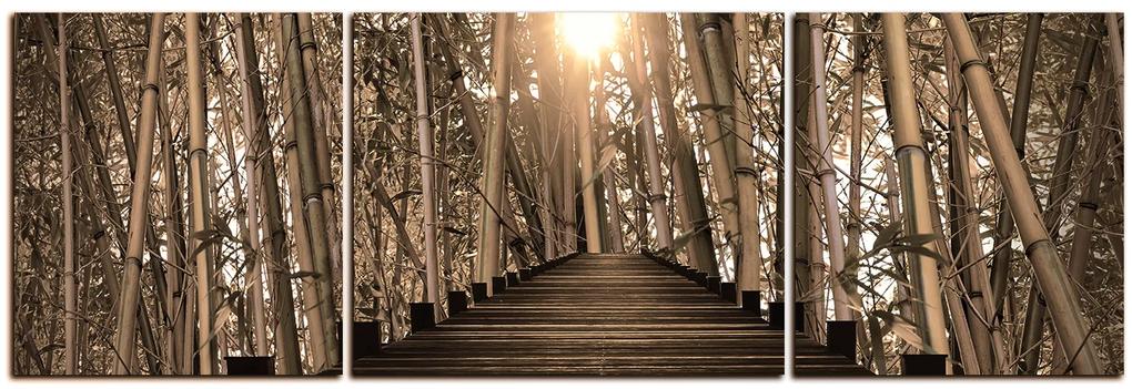 Obraz na plátne - Drevená promenáda v bambusovom lese - panoráma 5172FC (150x50 cm)