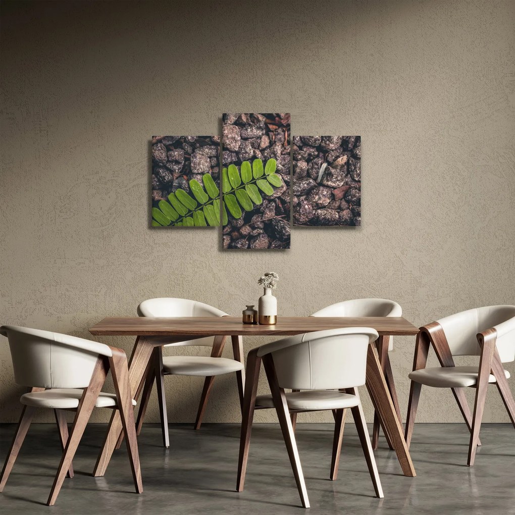 Obraz zelenej rastliny (90x60 cm)