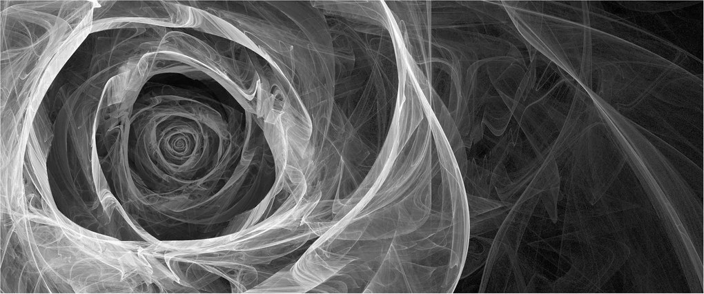 Obraz - Abstraktné ruže čiernobiela (120x50 cm)