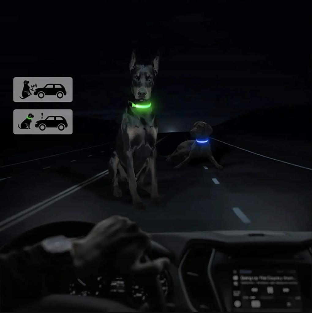 Zelený LED obojok pre psa/mačku DUKE - rôzne veľkosti Veľkosť: L