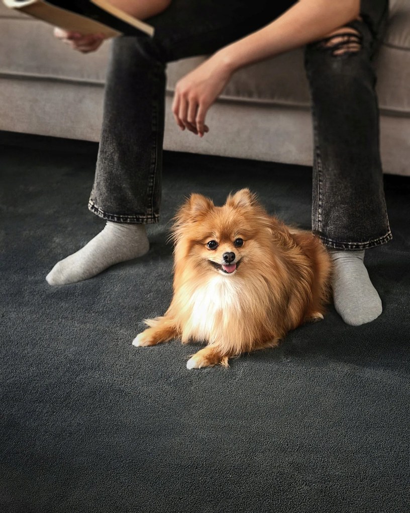 Koberec 160x230 cm SONGMICS TAR013G02 - tmavosivý