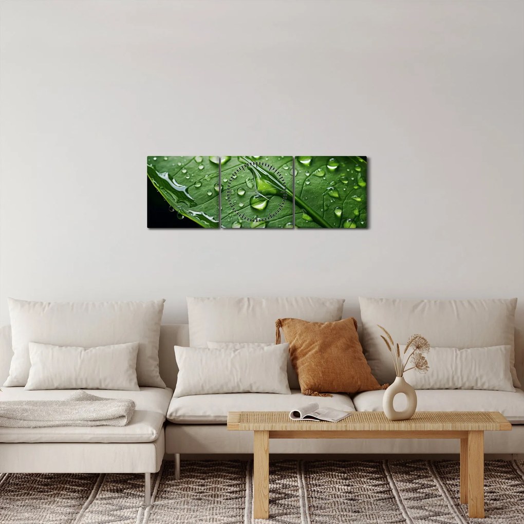 Obraz - List po daždi (s hodinami) (90x30 cm)
