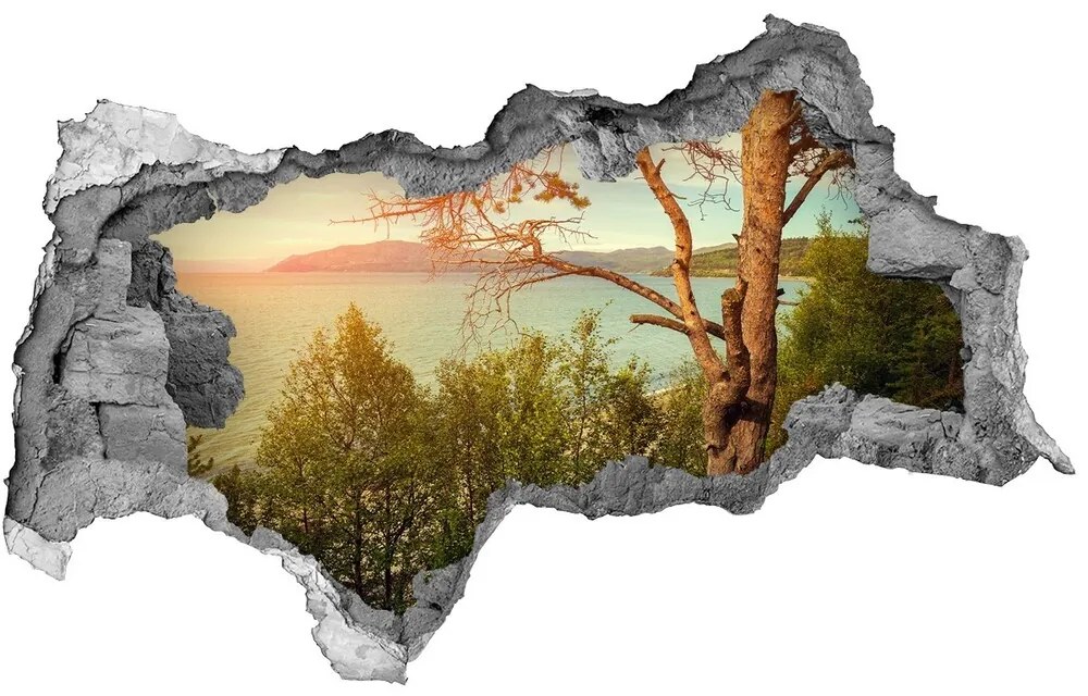 Diera 3D v stene nálepka Jazierka scandinavia nd-b-121778519