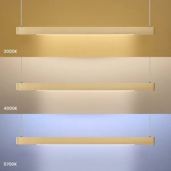 LED luster na lanku LINEA LED/36W/230V 3000/4000/5700K CRI 90 zlatý