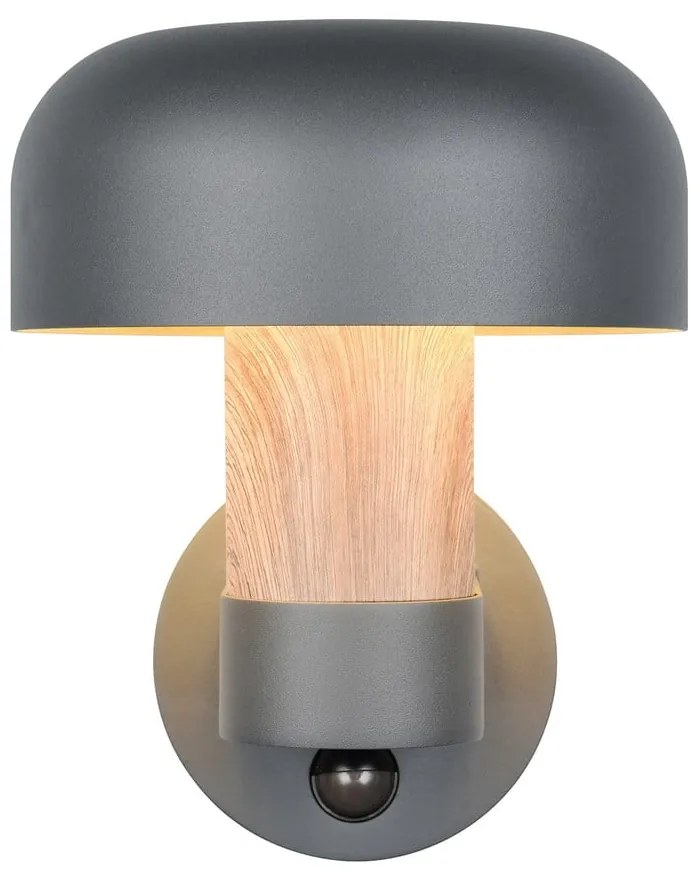 Nástenné vonkajšie svietidlo (výška 24,5 cm) Fraser – Trio