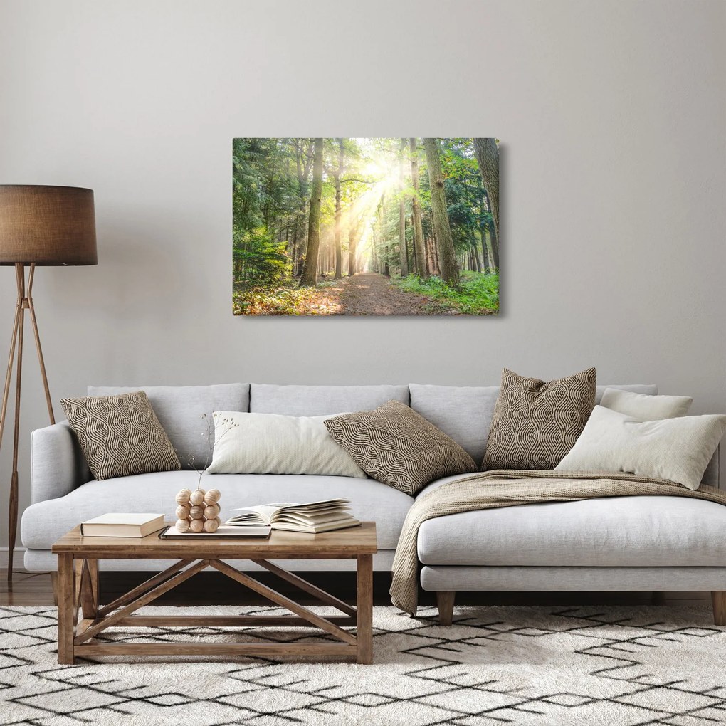 Obraz cestičky v lese (90x60 cm)