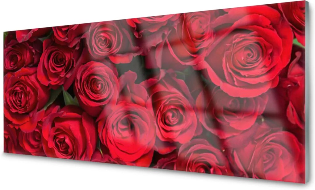 Skleněný obraz Červené Ruže Kvety Príroda