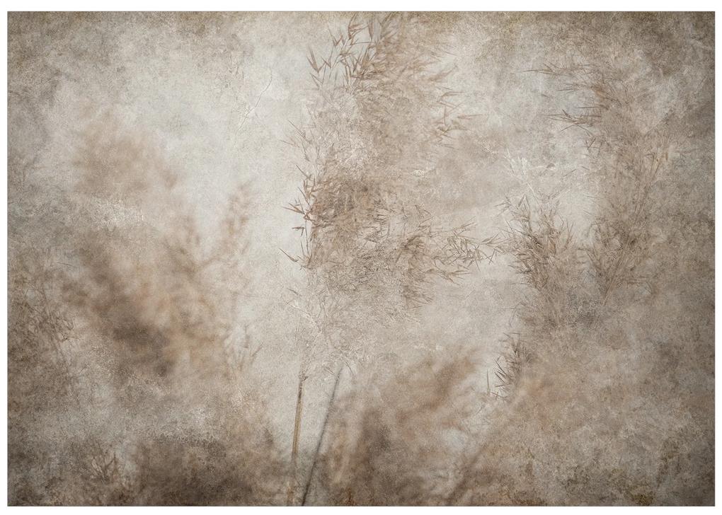 Artgeist Fototapeta - Blown Away by the Wind Veľkosť: 196x140, Verzia: Samolepiaca
