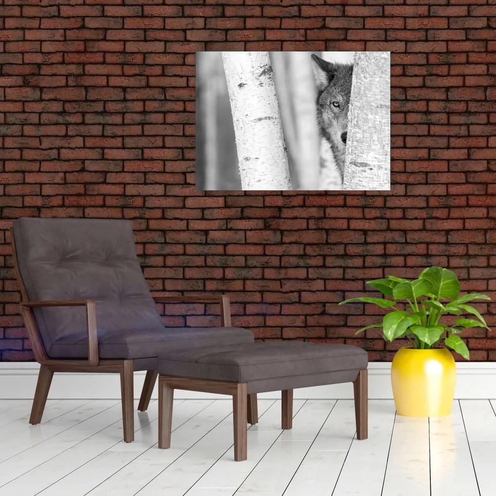 Sklenený obraz - Vlk v lese (70x50 cm)